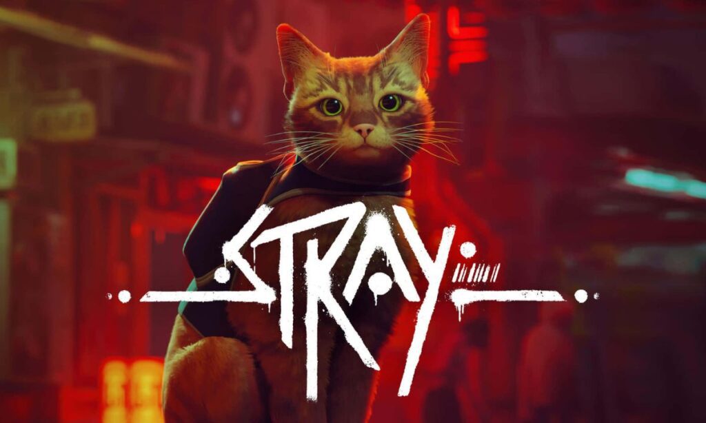 Stray - Indie Game on Unreal 4